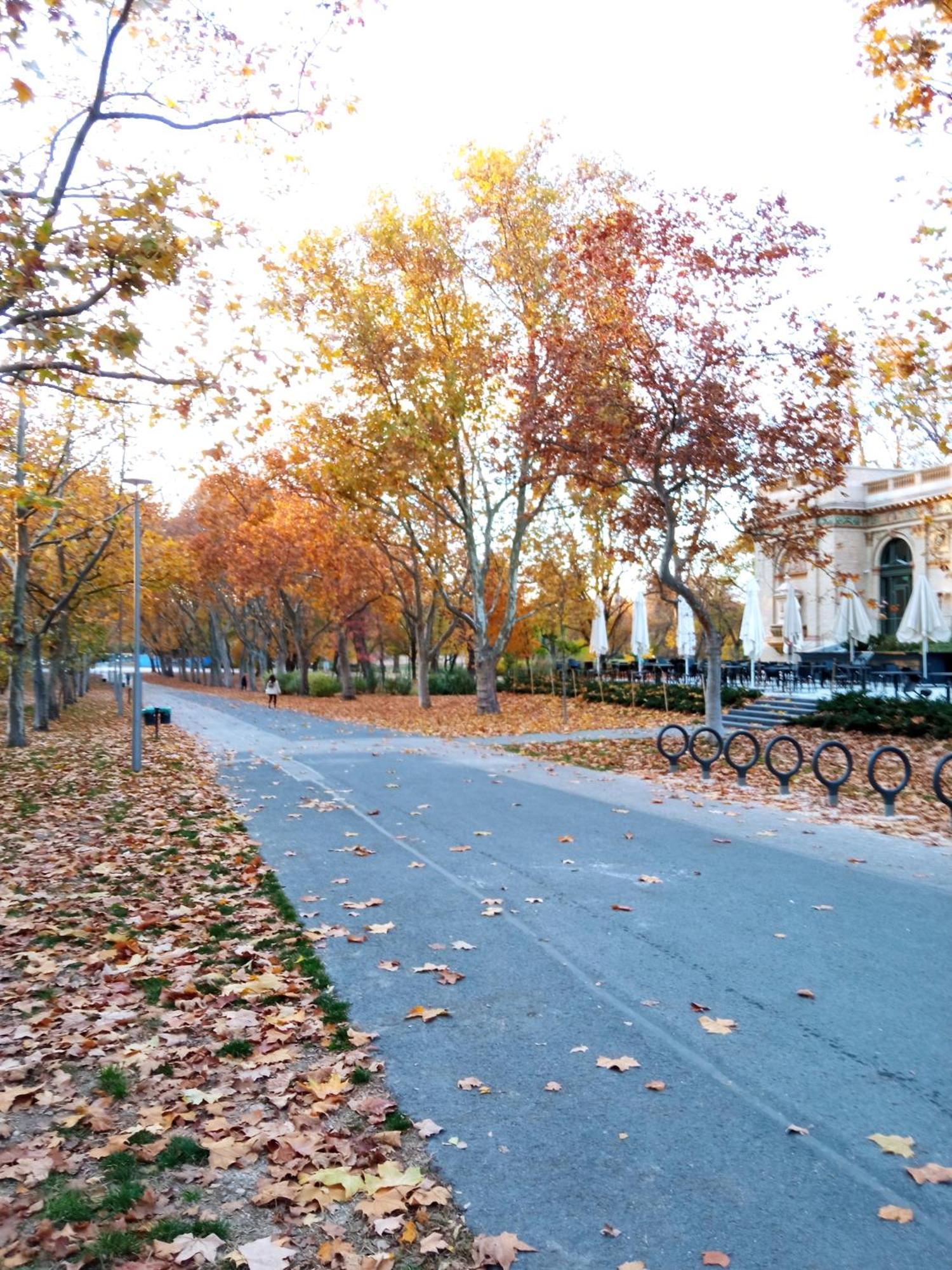Free Parking Garage! Downtown Apartment Close To New York Cafe Budapest Ngoại thất bức ảnh